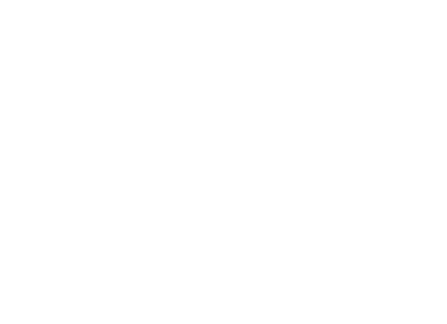 Logo Festival International de Ballons